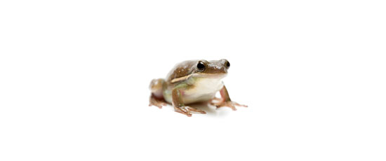 jibun